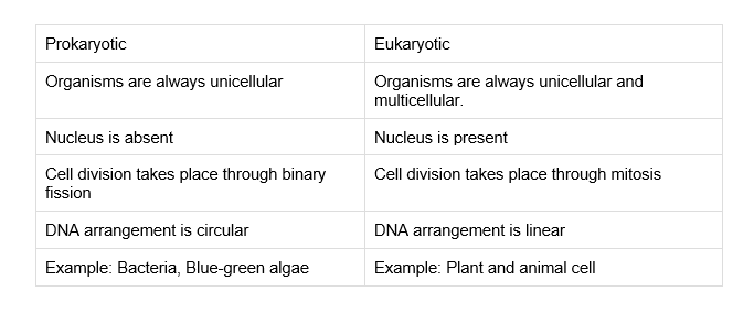 Eukaryotic and prokaryotic cell